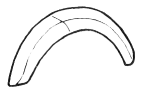 PASSARUOTA ANTERIORE DESTRO FIAT 500