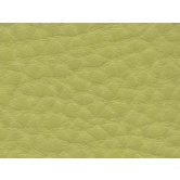 FINTA PELLE AUTOESTINGUENTE SINGAPORE PISTACCHIO