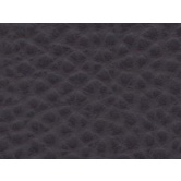 FINTA PELLE AUTOESTINGUENTE SINGAPORE PRUGNA