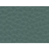 FINTA PELLE AUTOESTINGUENTE SINGAPORE SALVIA