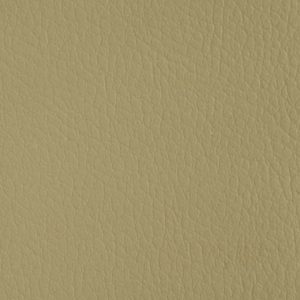 FINTA PELLE BIELASTICA RENNA IGNIFUGA CLASSE 1 IM