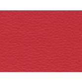 FINTA PELLE ROSSA BIELASTICA