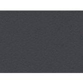 FINTA PELLE SABBIATA ANTRACITE