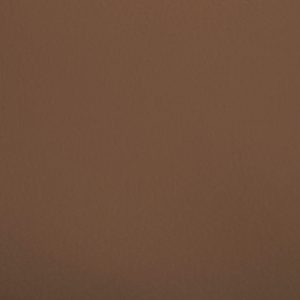 FINTA PELLE BIELASTICA SEGALE IGNIFUGA