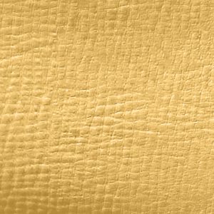 FINTA PELLE ZEBU' PAGLIA