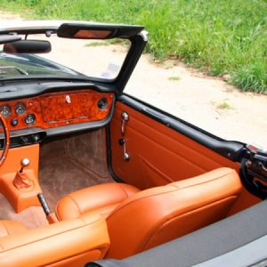 PANNELLI PORTA TRIUMPH TR6