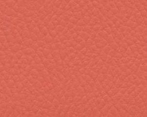 FINTA PELLE IGNIFUGA ARAGOSTA